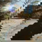 GU Som Smile profile icon