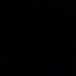 Nisa Fitria profile icon