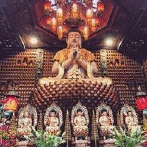 Ngọc Trúc profile icon