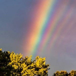 Vinda Bilbelia profile icon