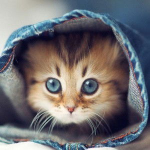 nabihah zainol profile icon