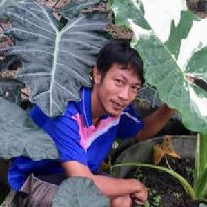 Assavapon Sukkasame profile icon