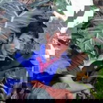 Assavapon Sukkasame profile icon