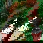 Riska Dewi profile icon