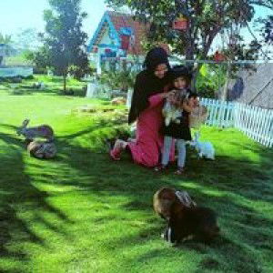 Elly Octavian profile icon