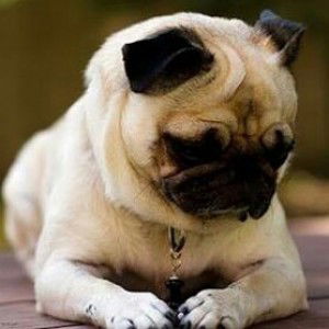 [Phone1612] -Gamming profile icon