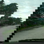 Try Oezill profile icon