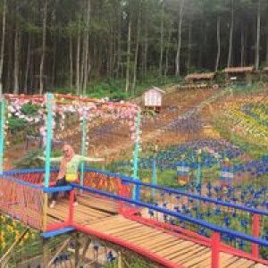 Imas Royani profile icon