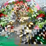 Fera Febrianti profile icon