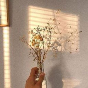 Isfa Safrina profile icon