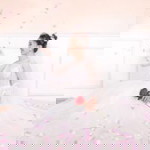 Lý Thu Hà profile icon