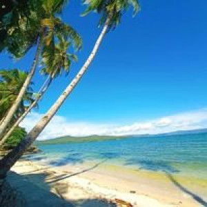 Honey Ko Laoban profile icon