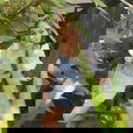 Pakboong Prapasri profile icon