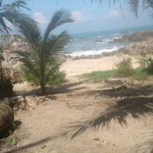 Idha Ajj profile icon