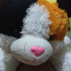 Mustaghfiroh Firoh profile icon