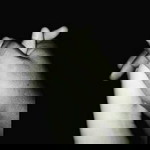 Salsabila fitria Suryadi profile icon