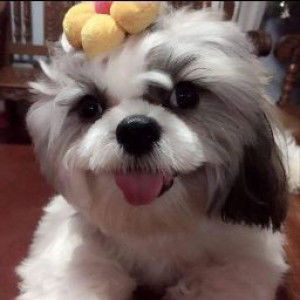 Lory Magat profile icon