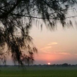 Siti Al Mir`atun profile icon