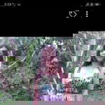 Tabudlo Molina Esteban Marazel profile icon