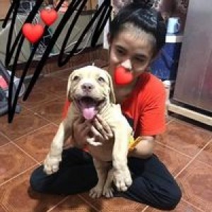 Suraida Dummid profile icon