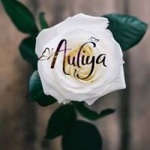 Dina Auliy profile icon