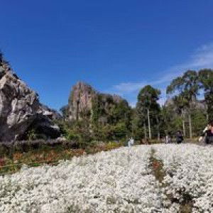 ธาร ใส profile icon