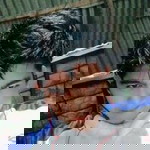 Tan Yun Dyin profile icon