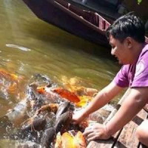 Rini Rahmawati profile icon