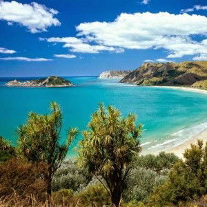 Fatma Berliandina profile icon