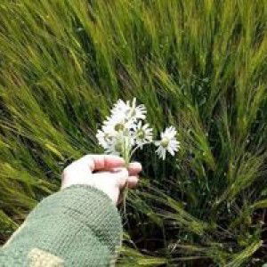 Nguyễn Thanh Huyền profile icon