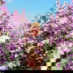 ปราวีณา เณรแก้ว profile icon