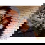 Erri Kriswanti profile icon