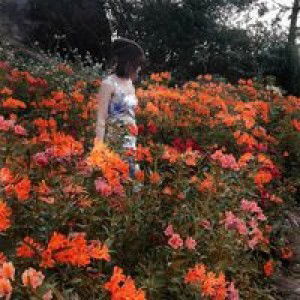 Noimy Francisco profile icon