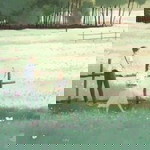 Như Quỳnh profile icon