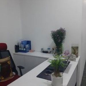 Selina Trương profile icon