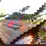 เค้าชอบเรียกนู๋ว่า ยาย้อยย profile icon