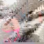 Roxie Guibani profile icon