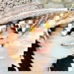 Elva Nelviyani profile icon