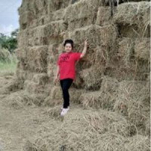 Doraemom Nok'za profile icon