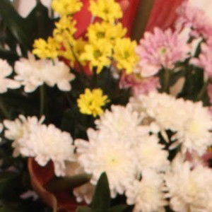 anggraini puspitasari profile icon