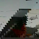 Nina Ismy profile icon