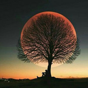 Carine Aulia profile icon