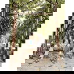 Fajar AlfAndy profile icon