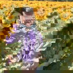 Nan Pornthip profile icon