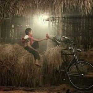 Luân Lạc Lối profile icon