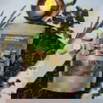 Mazia Zainudin profile icon