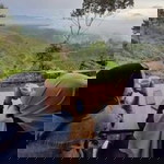 Nurulla profile icon