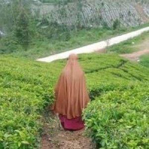 Umi'Nya Aska Aziz profile icon