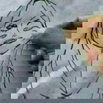 Ambu Alfi Al-Barry profile icon