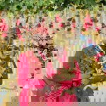 Sindi Setiawati profile icon